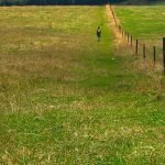 Parque Denia Club Inversiones Gormes SL