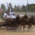 Habitat SA 7 Playa Romana Habitat SA